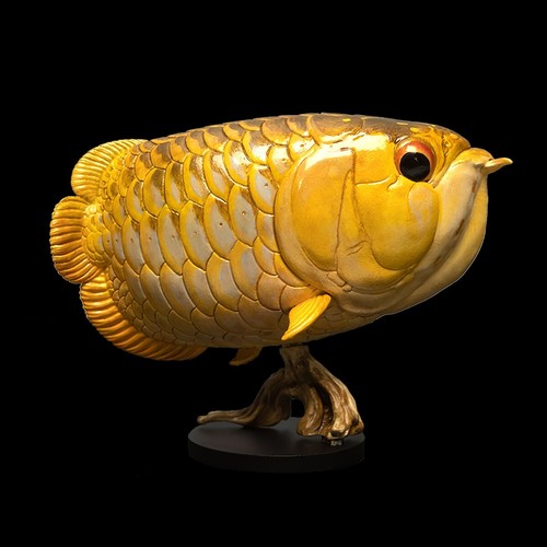 Animal heavenly body - animal,